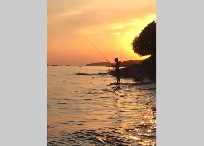 Viva 1 Rovinj
