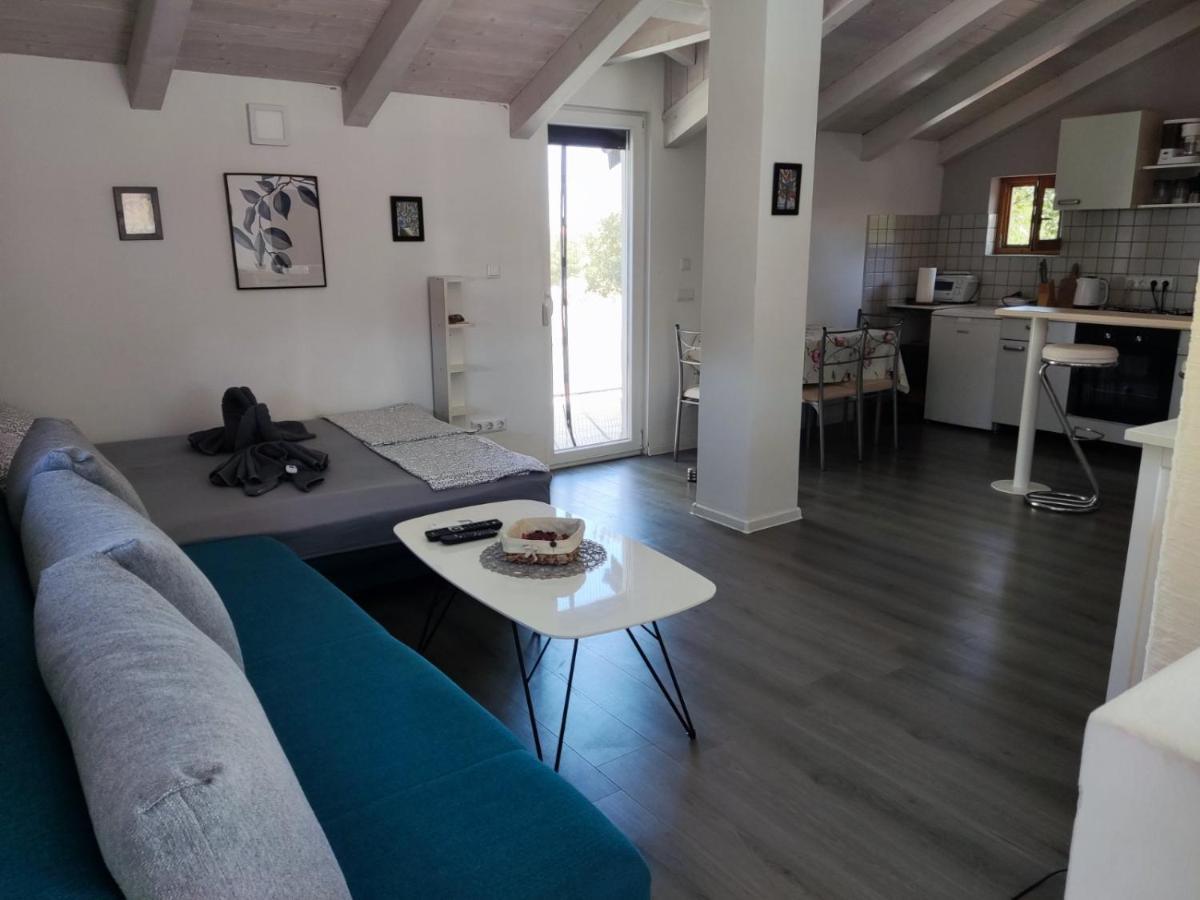Apartment Viva 1 Rovinj